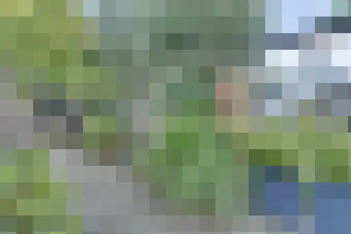 Dr.W.Dreeslaan 10 Goes thumbnail 57