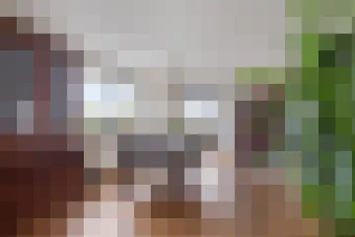 Dr.W.Dreeslaan 28 Goes thumbnail 11