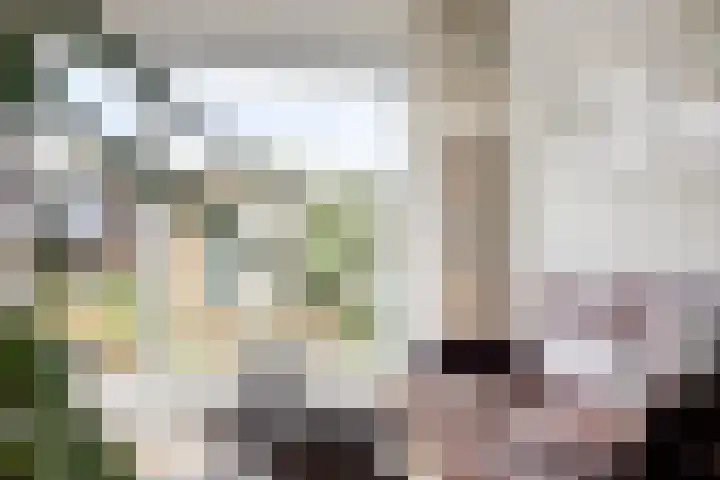 Dr.W.Dreeslaan 28 Goes thumbnail 18