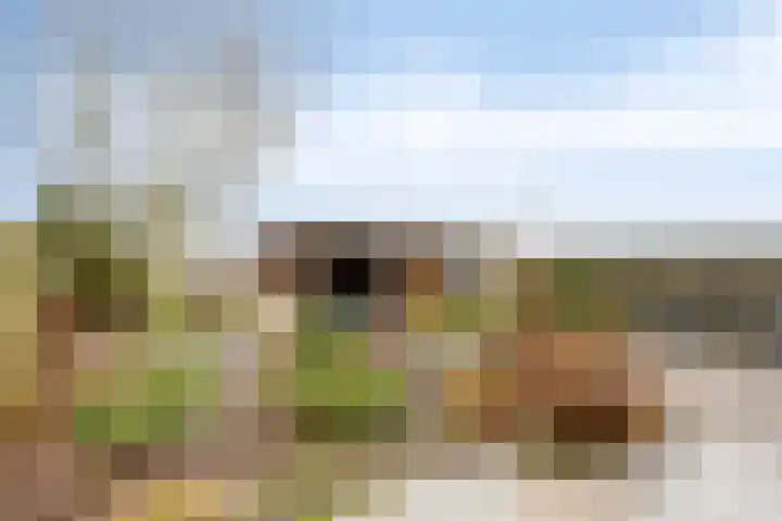 Dr.W.Dreeslaan 28 Goes thumbnail 33