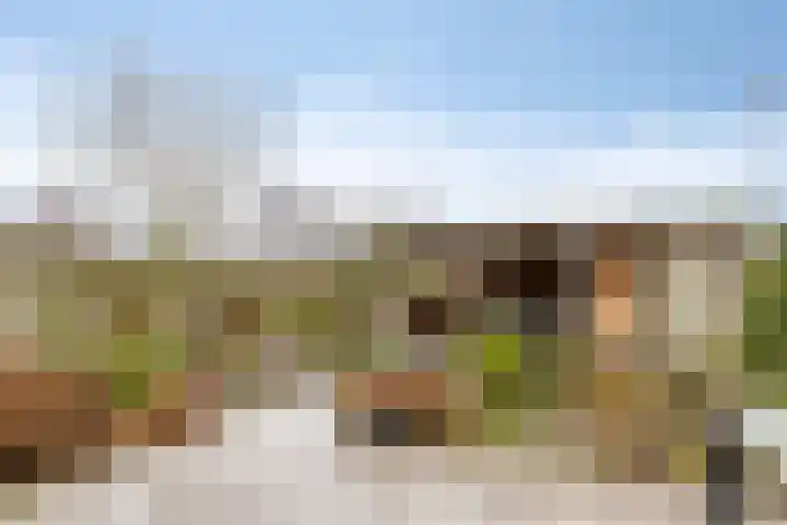 Dr.W.Dreeslaan 28 Goes thumbnail 34