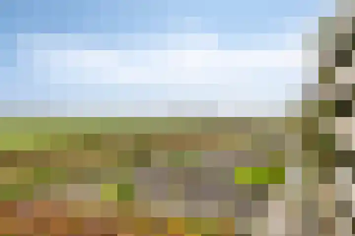 Dr.W.Dreeslaan 28 Goes thumbnail 37