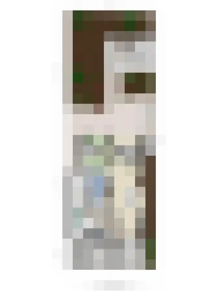 Dr.W.Dreeslaan 28 Goes thumbnail 40