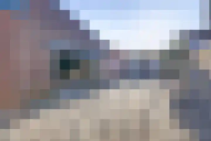 Dr Weitjenslaan 10 Poeldijk thumbnail 27