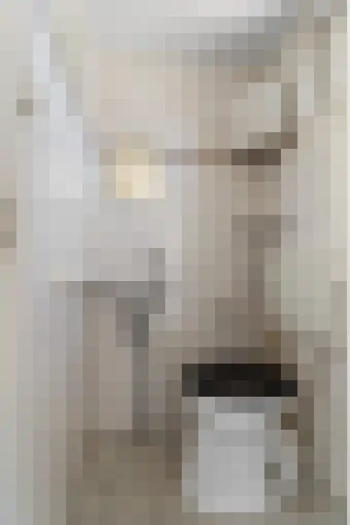 Dr.Wierstraat 10 Grave thumbnail 10