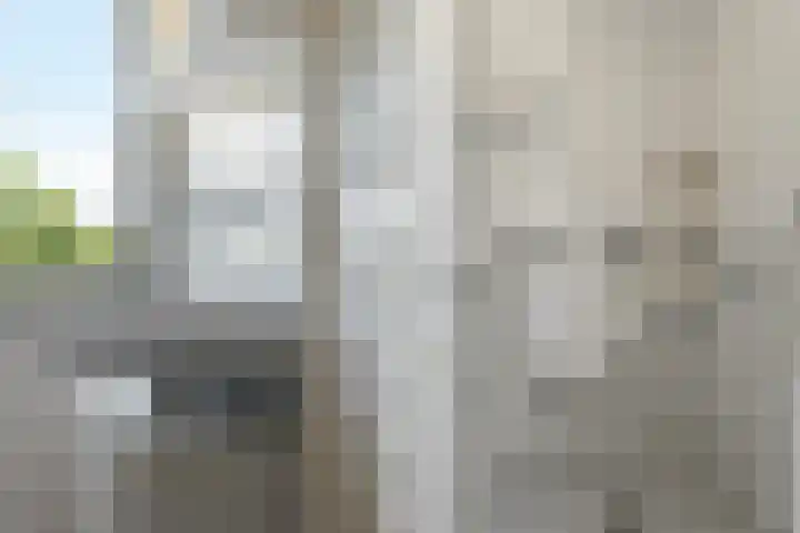 Dr.Wierstraat 10 Grave thumbnail 21
