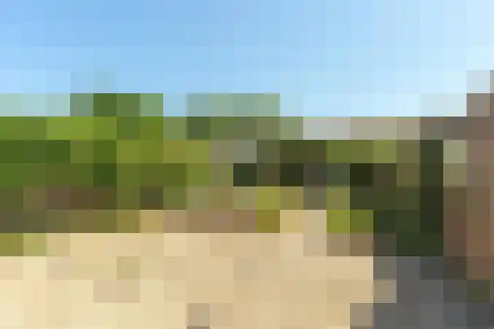 Dr.Wierstraat 10 Grave thumbnail 25