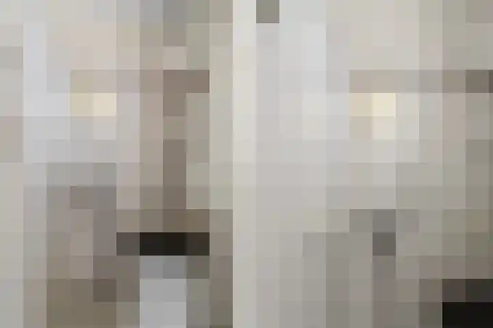 Dr.Wierstraat 10 Grave thumbnail 9
