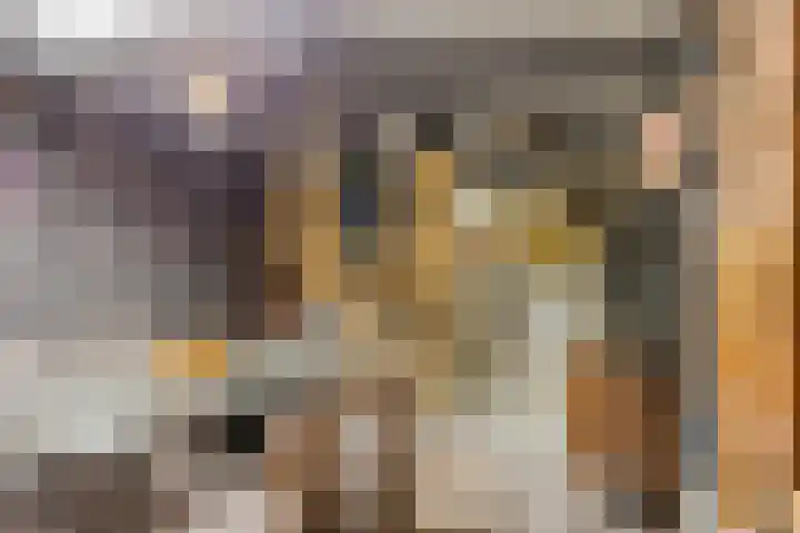 Dr.Wierstraat 18 Grave thumbnail 27