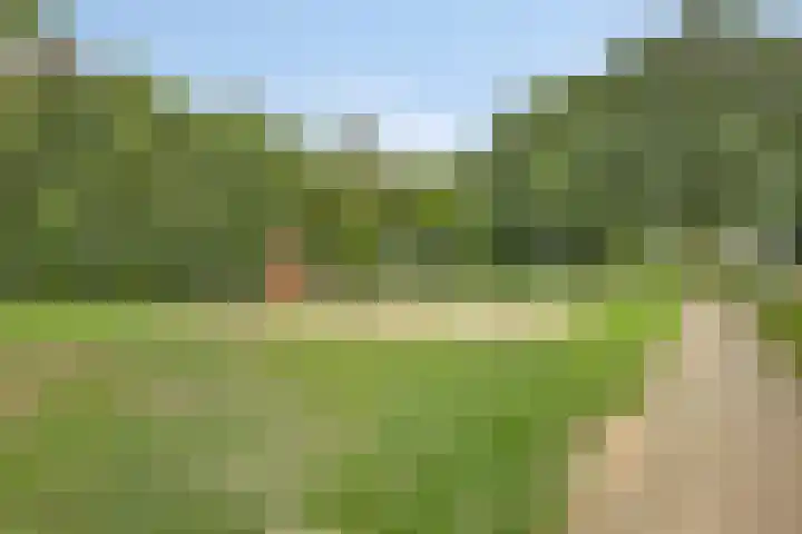 Dr.Wierstraat 18 Grave thumbnail 29
