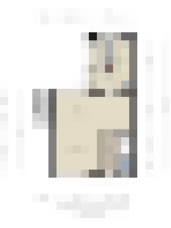 Dr.Wierstraat 18 Grave thumbnail 31