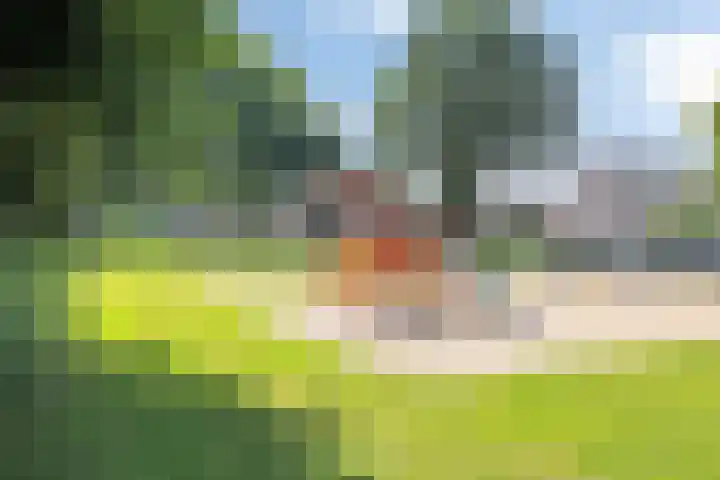 Dr.Wierstraat 32 Grave thumbnail 27