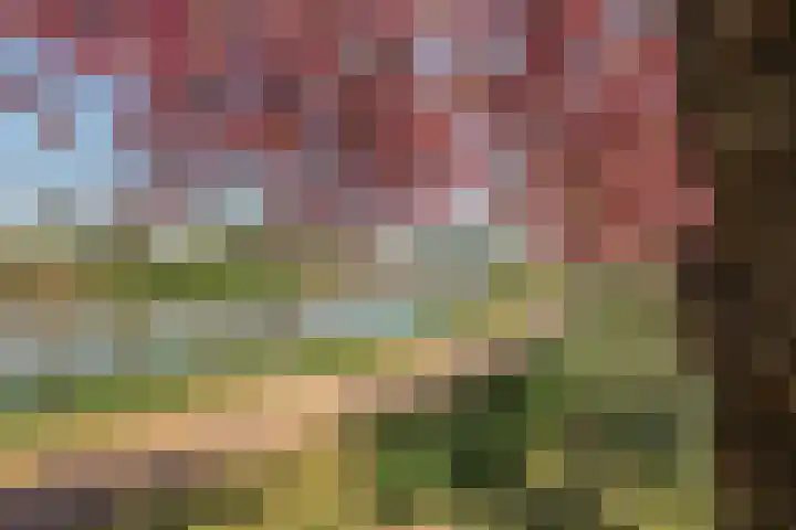 Dr.Wierstraat 32 Grave thumbnail 30