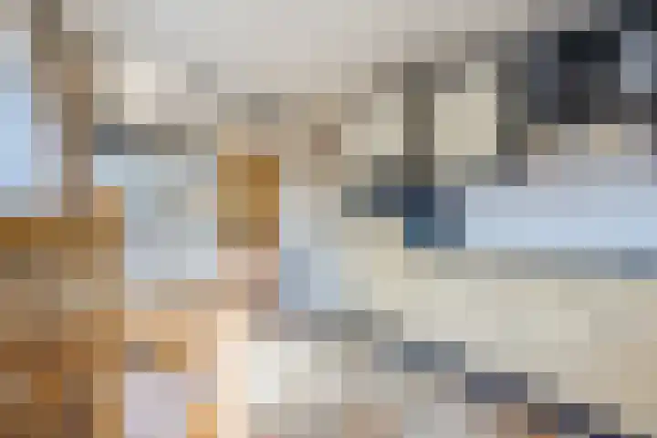 Dr.Wierstraat 32 Grave thumbnail 8
