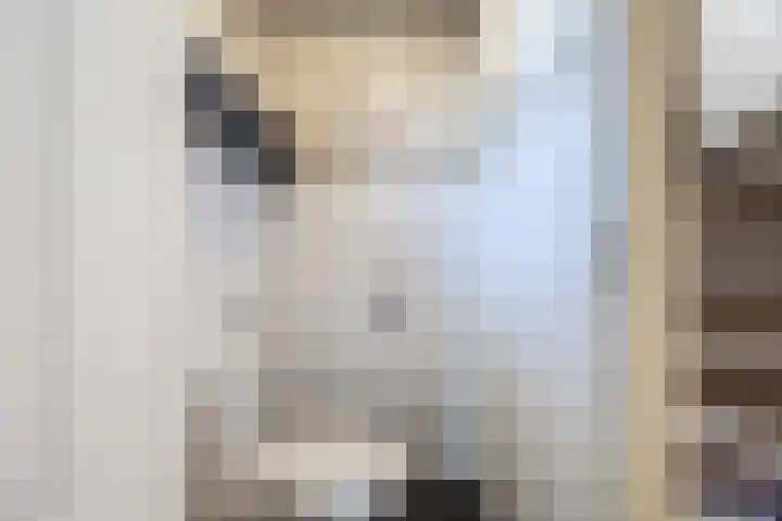 Dr.Wierstraat 32 Grave thumbnail 9