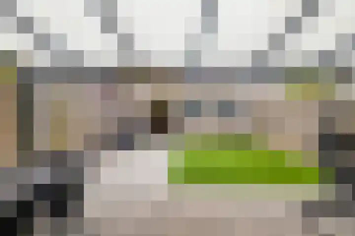Dr.Wierstraat 6 Grave thumbnail 27