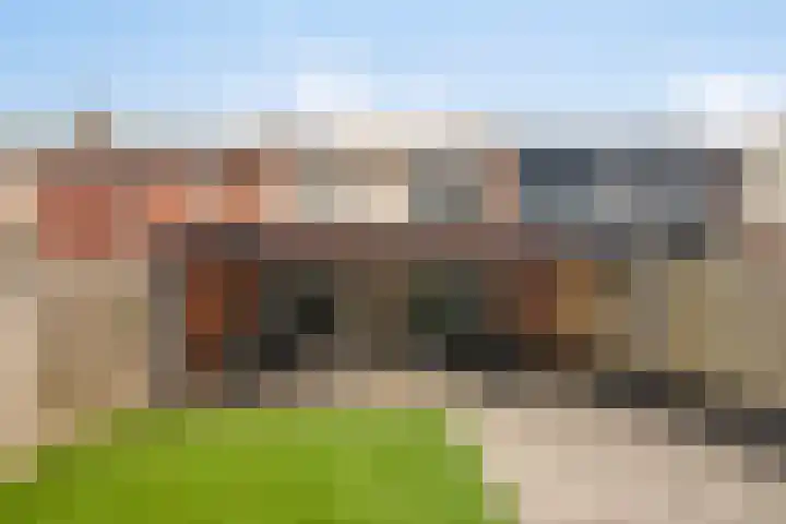 Dr.Wierstraat 6 Grave thumbnail 28