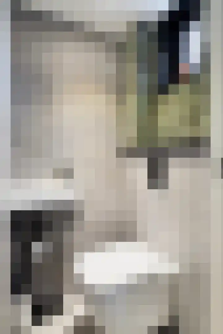 Dr.Wierstraat 6 Grave thumbnail 8