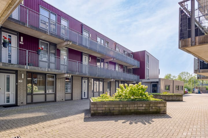 Dr. Willem Dreessingel 257 in Arnhem foto