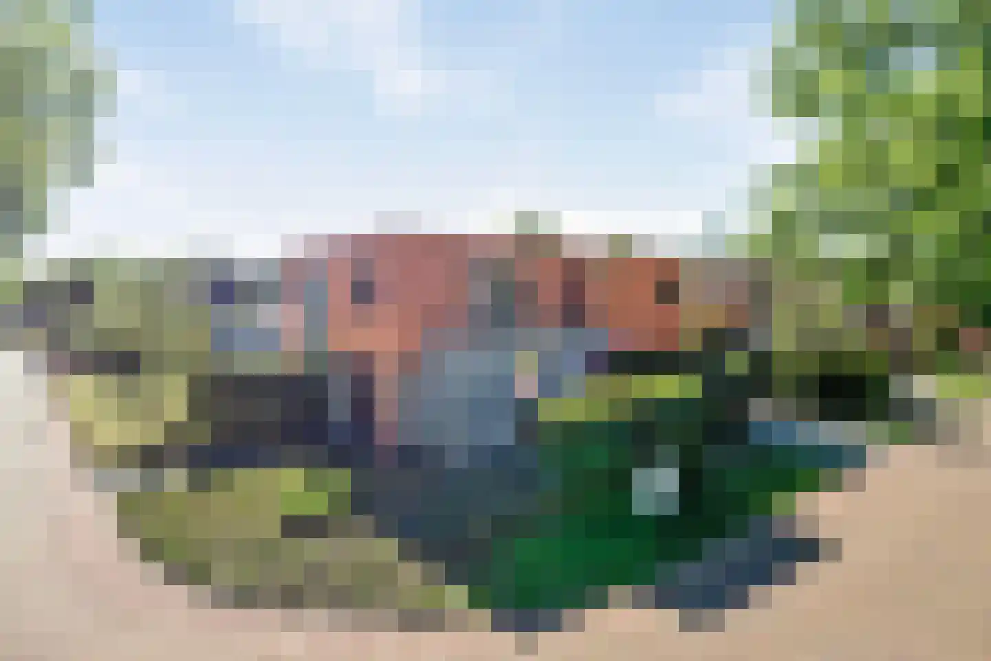 Draagsteen 8 Borger