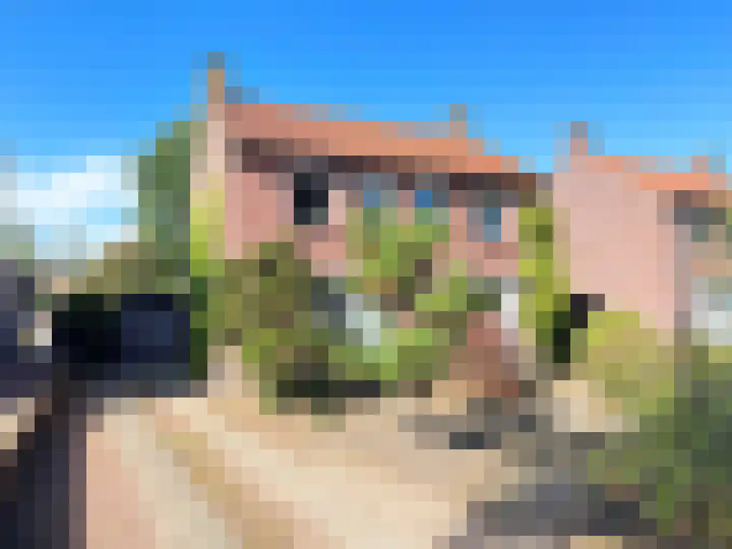 Draaiboom 14 Lage Mierde