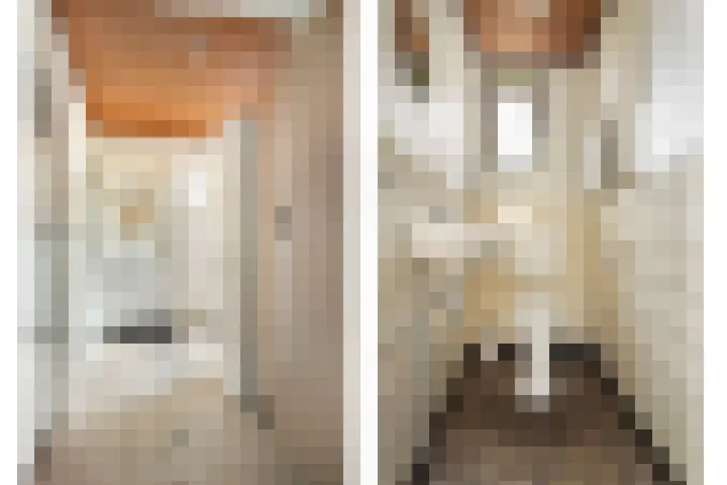Draaiboom 14 Lage Mierde thumbnail 12