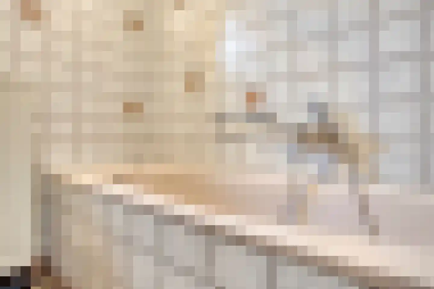 Draaiboom 14 Lage Mierde thumbnail 14