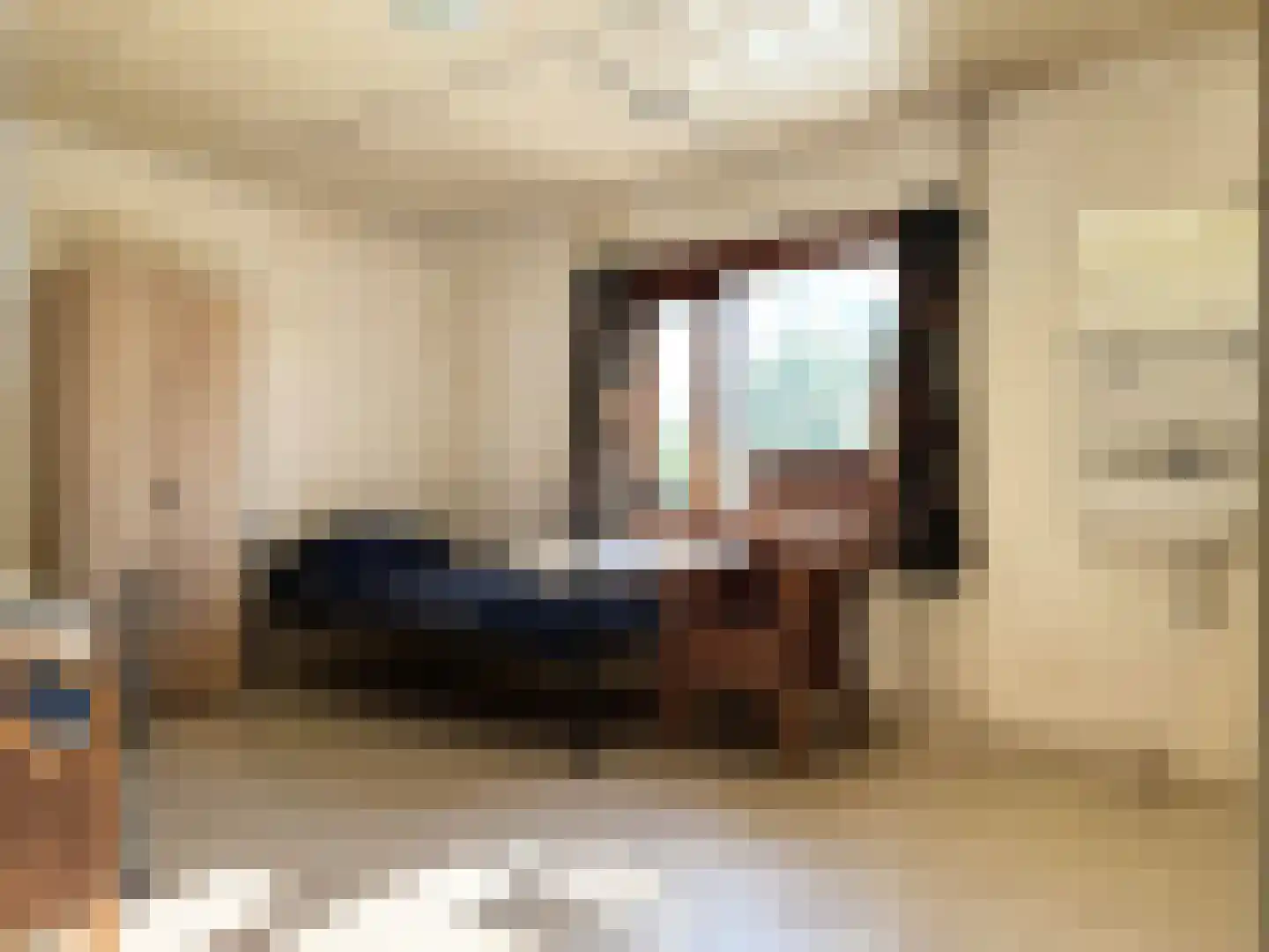Draaiboom 14 Lage Mierde thumbnail 16