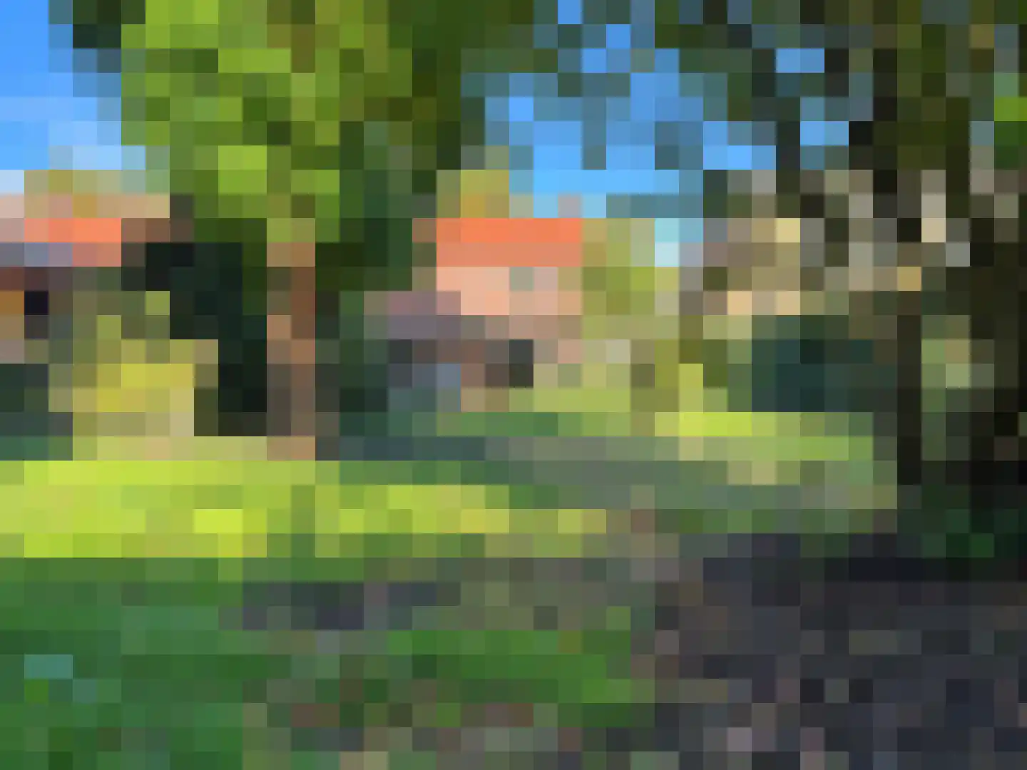 Draaiboom 14 Lage Mierde foto 3