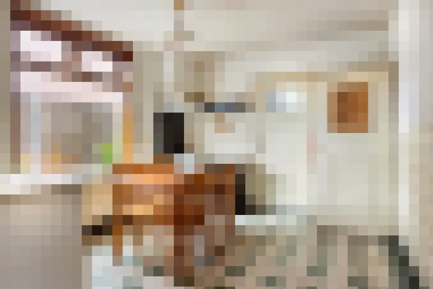 Draaiboom 14 Lage Mierde thumbnail 5