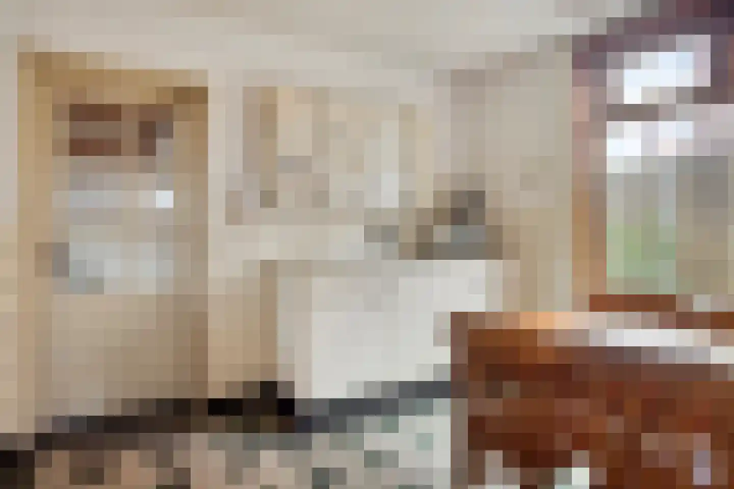 Draaiboom 14 Lage Mierde thumbnail 6