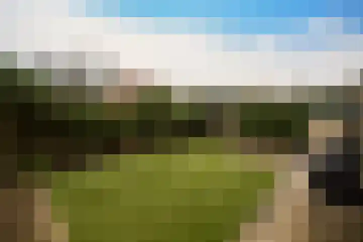 Draailier 13 Soest thumbnail 41