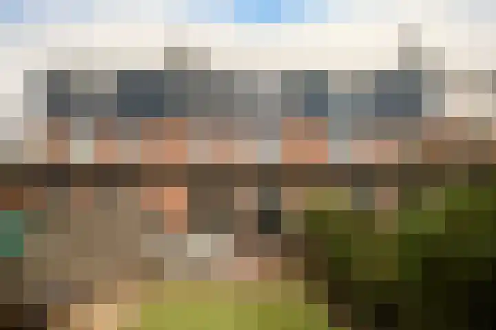 Draailier 13 Soest thumbnail 44