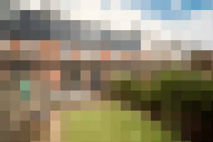 Draailier 13 Soest thumbnail 45