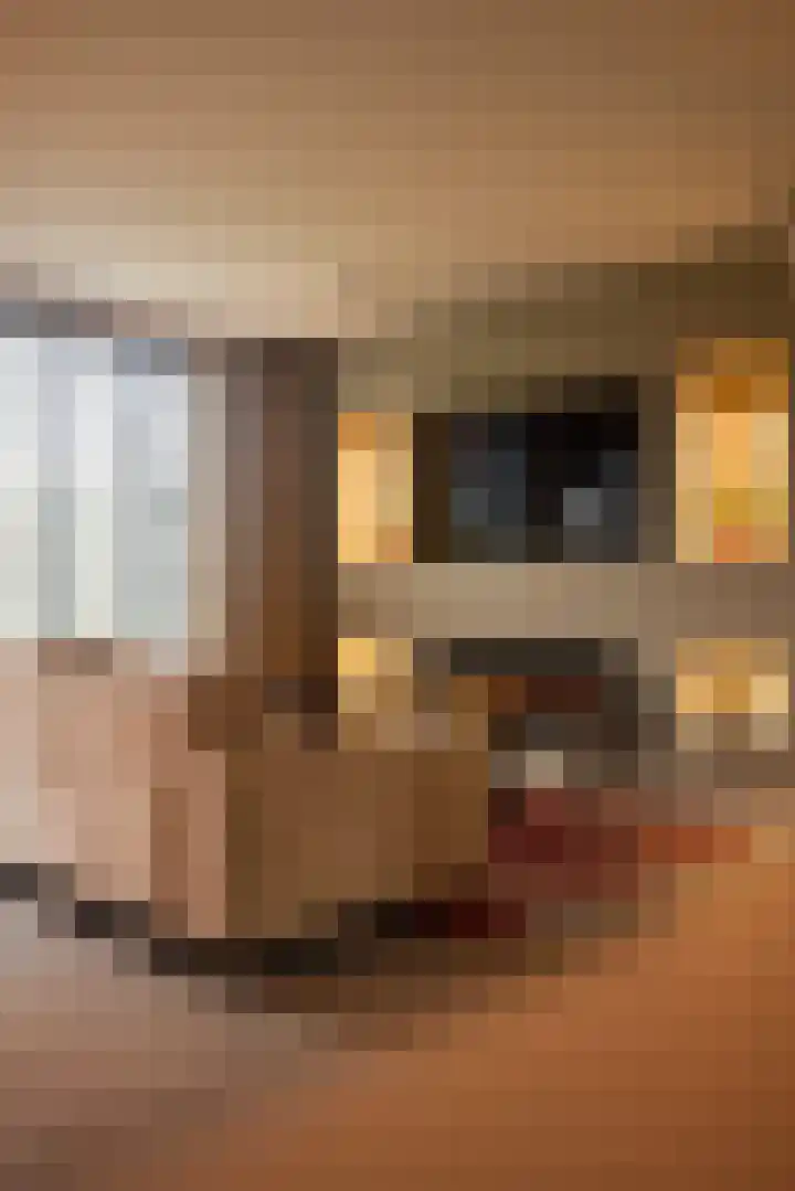 Draailier 13 Soest thumbnail 8