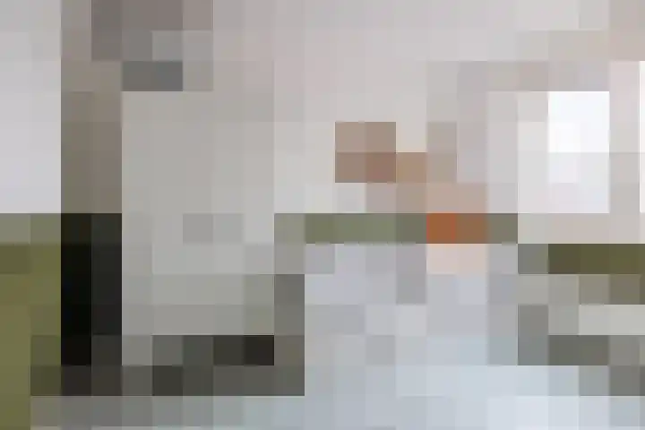 Draaischijf 43 Milsbeek thumbnail 23