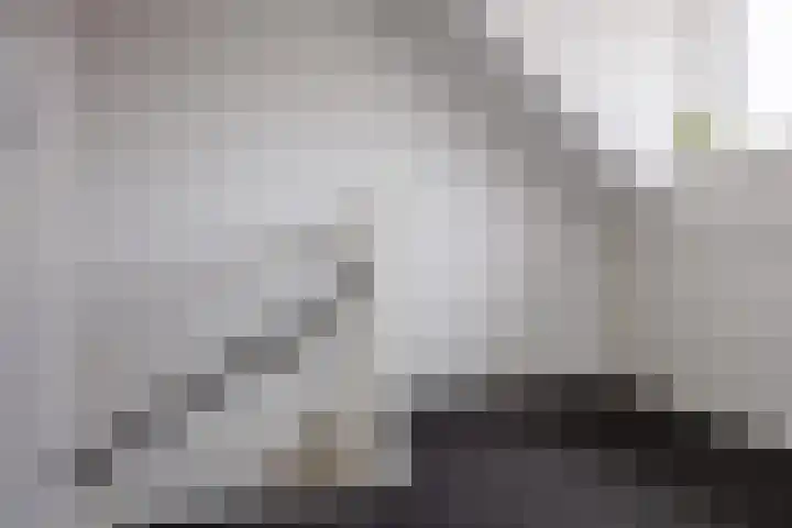 Draaischijf 43 Milsbeek thumbnail 32