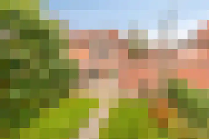 Drachme 10 Dronten thumbnail 36