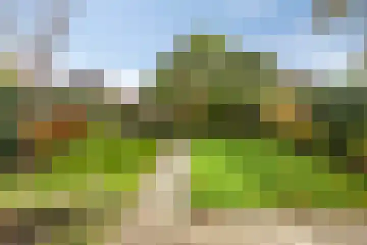 Drachme 10 Dronten thumbnail 37