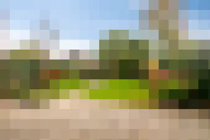 Drachme 10 Dronten thumbnail 38