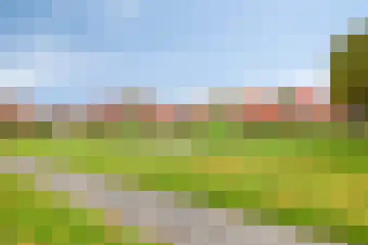 Drachme 10 Dronten thumbnail 40