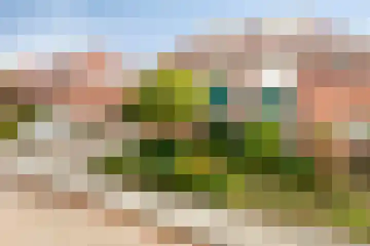 Drachme 10 Dronten thumbnail 5