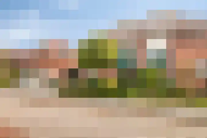 Drachme 10 Dronten thumbnail 7