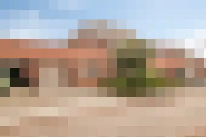 Drachme 10 Dronten thumbnail 8