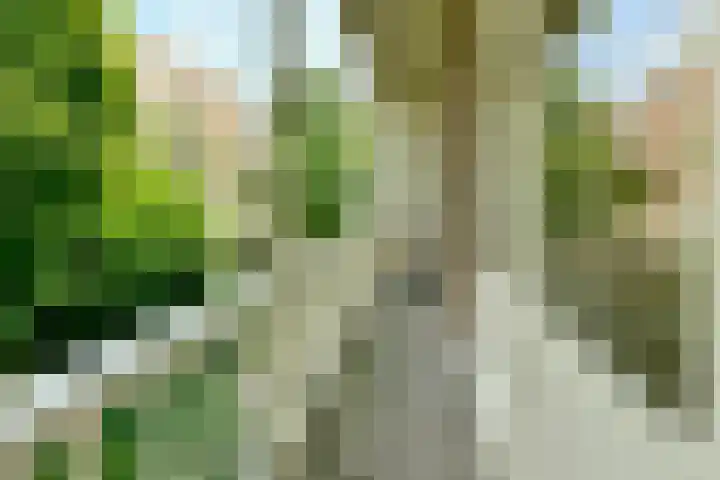 Drafbaan 18 Nootdorp thumbnail 13