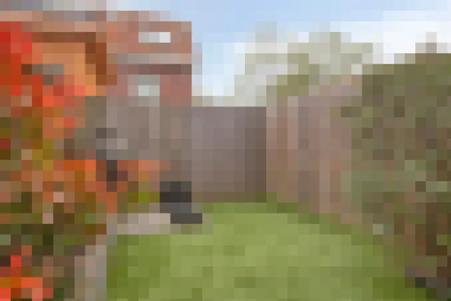 Drafbaan 18 Nootdorp thumbnail 21