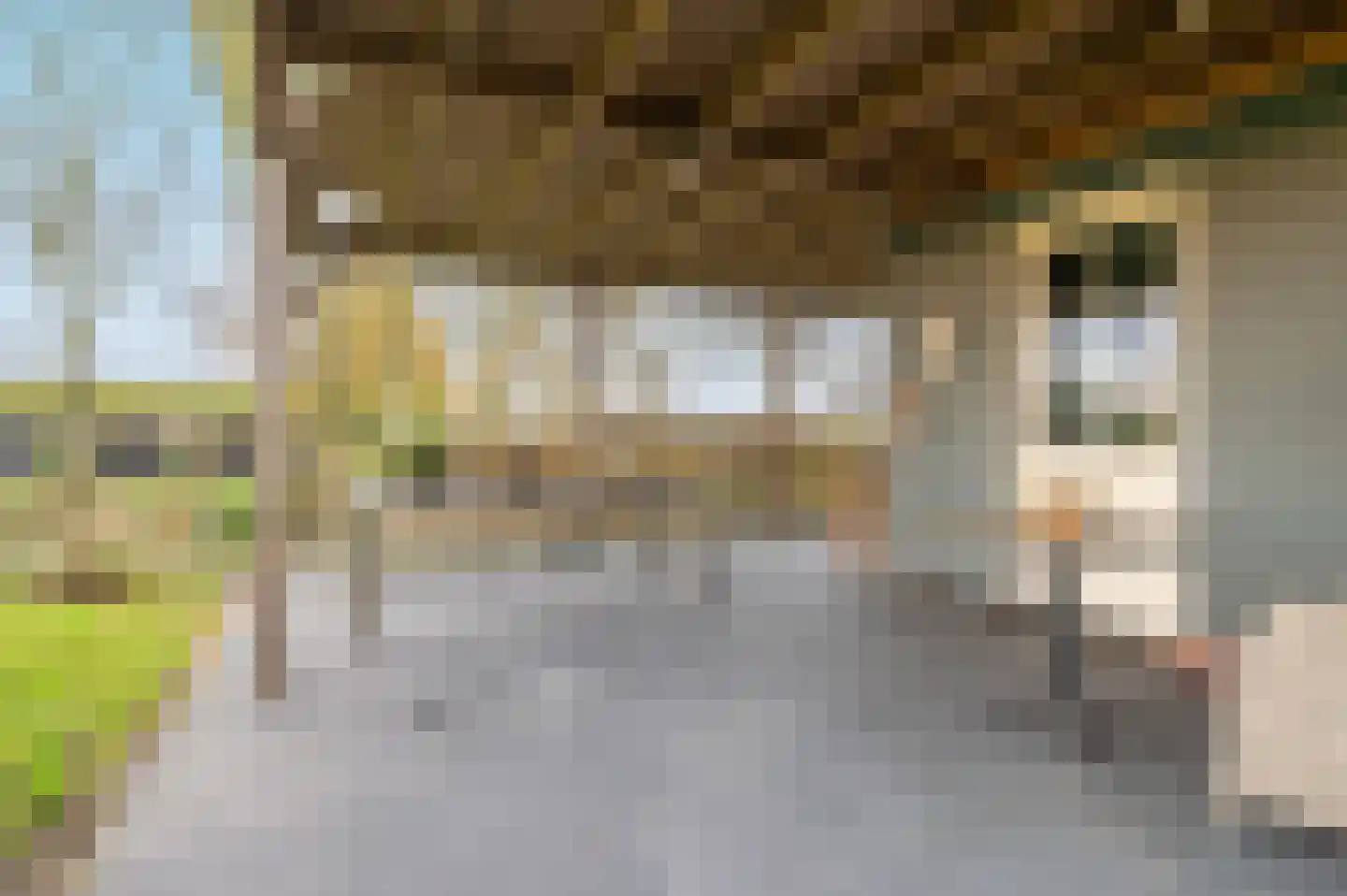 Dragonderweg 29 Ede thumbnail 10