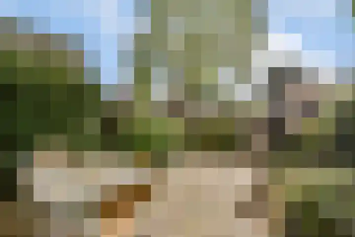 Dragontuin 9 Leiderdorp thumbnail 13