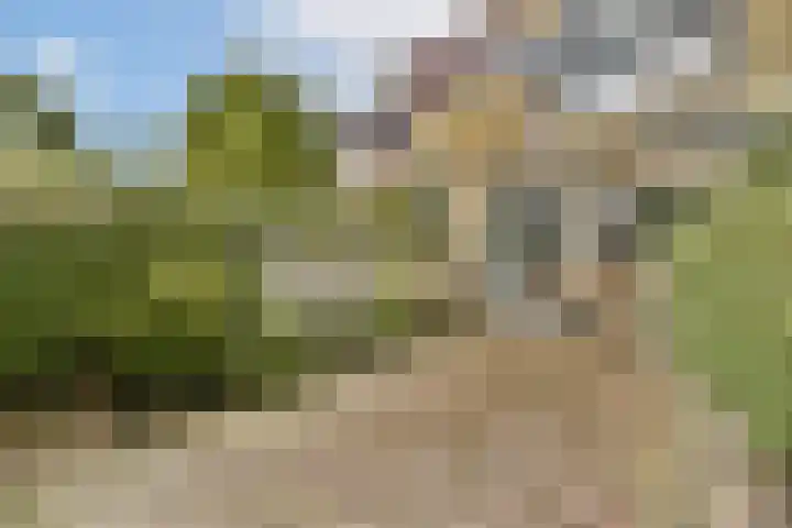 Dragontuin 9 Leiderdorp thumbnail 14