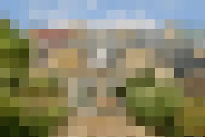 Dragontuin 9 Leiderdorp thumbnail 15
